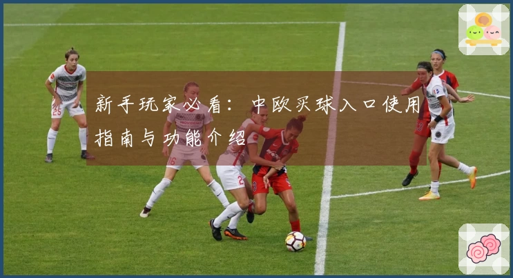 新手玩家必看：中欧买球入口使用指南与功能介绍