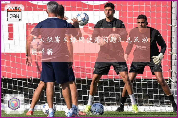 五大联赛买球网使用问题汇总及功能详解