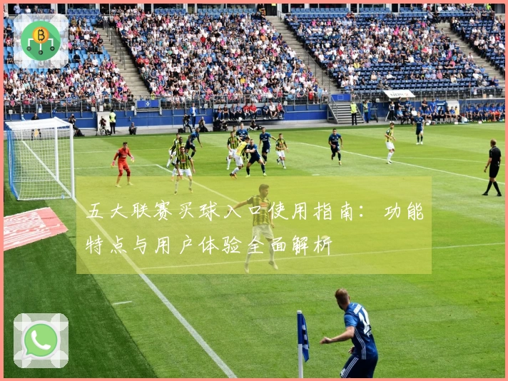 五大联赛买球入口使用指南：功能特点与用户体验全面解析