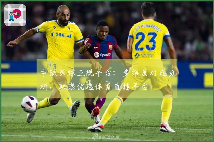 中欧买球正规平台：多维度对比分析，助您优选体育直播平台