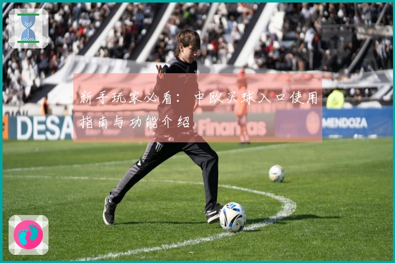 新手玩家必看：中欧买球入口使用指南与功能介绍