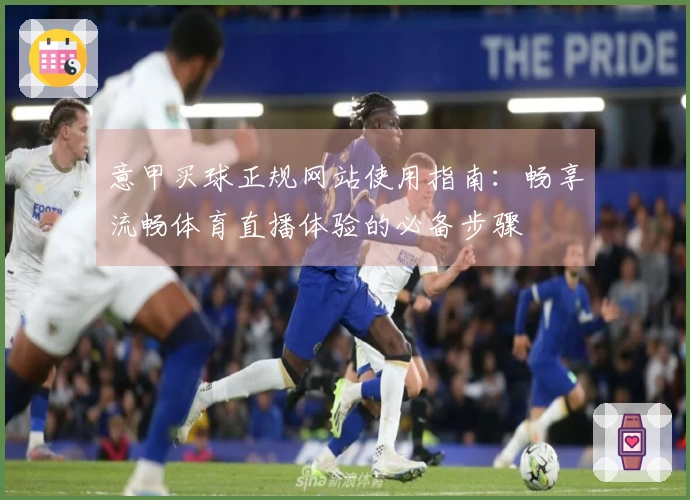 意甲买球正规网站使用指南：畅享流畅体育直播体验的必备步骤